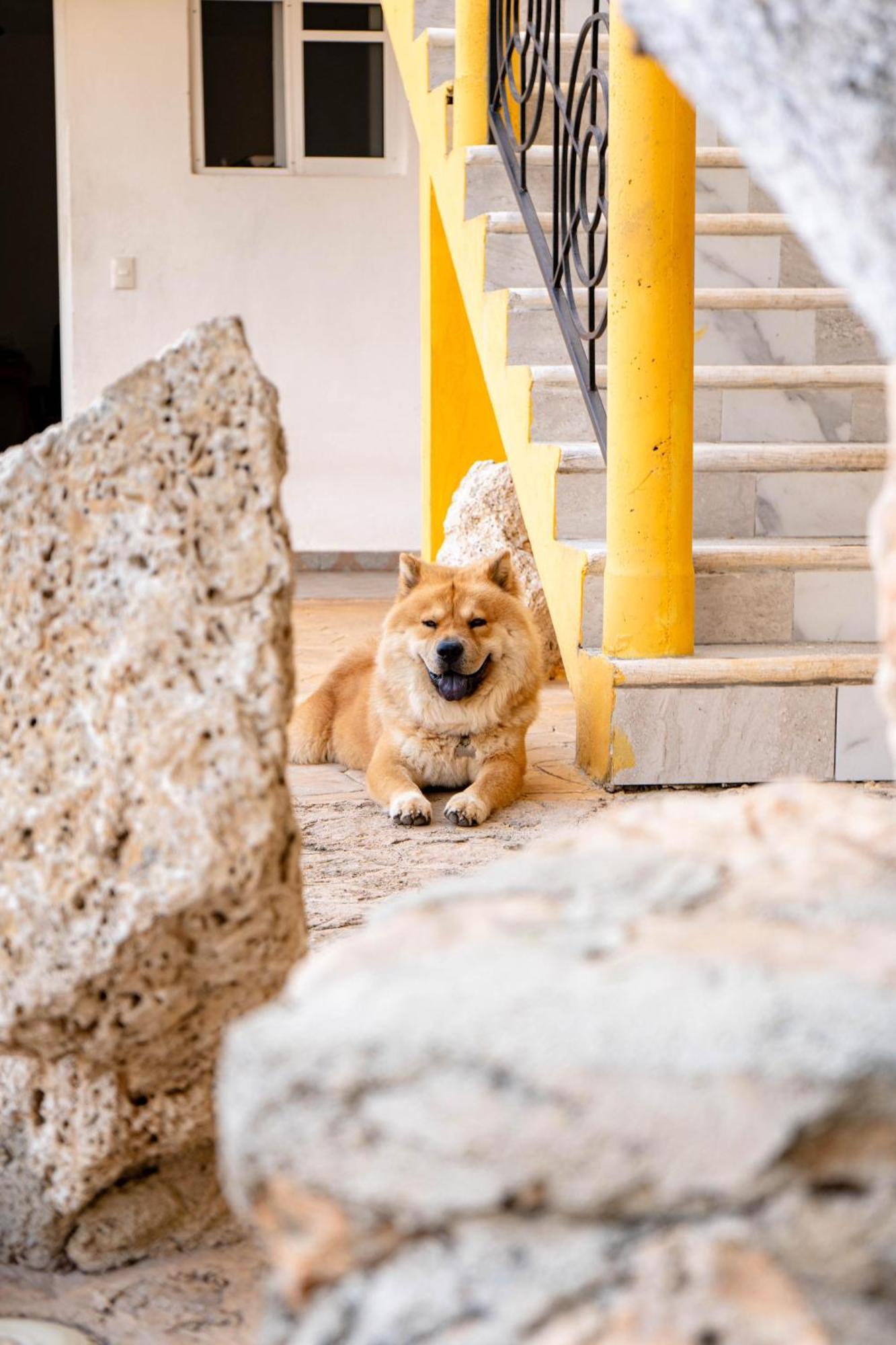 Buenosdias Izamal Bed & Breakfast Exterior foto
